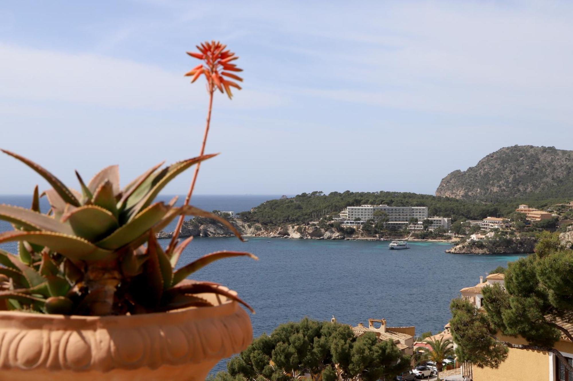 Apartmán Aldea 2 Cala Fornells Peguera Exteriér fotografie