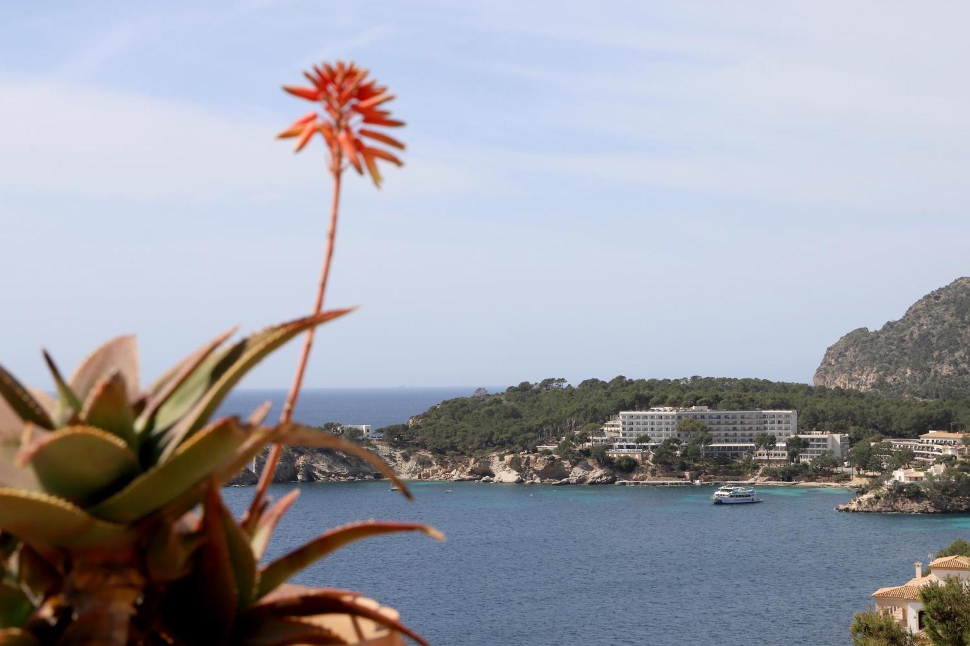 Apartmán Aldea 2 Cala Fornells Peguera Exteriér fotografie
